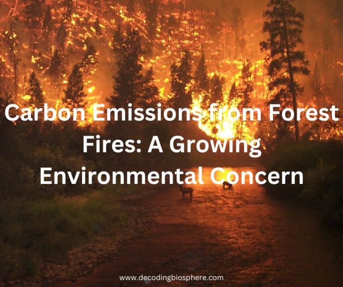 Carbon Emissions from Forest Fires