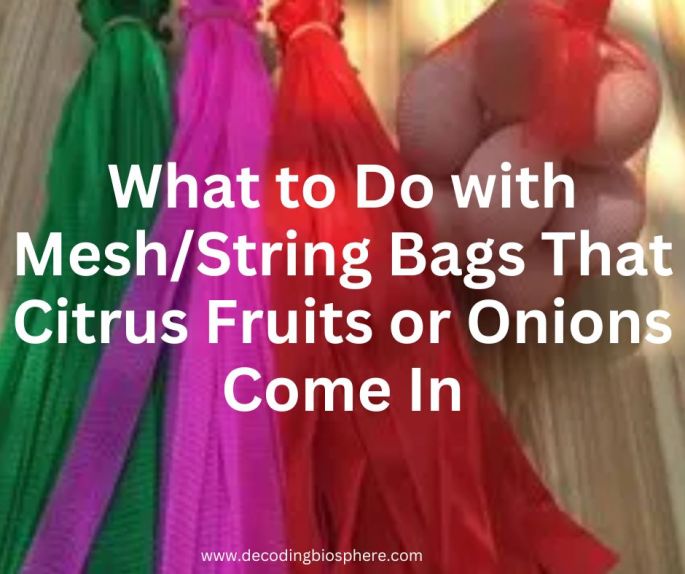 What to Do with Mesh/String Bags