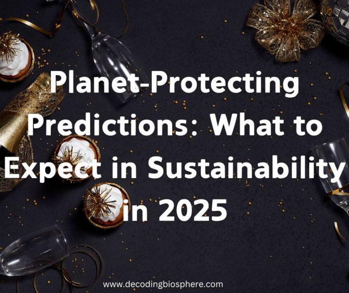 Planet-Protecting Predictions: What to Expect in Sustainability in 2025