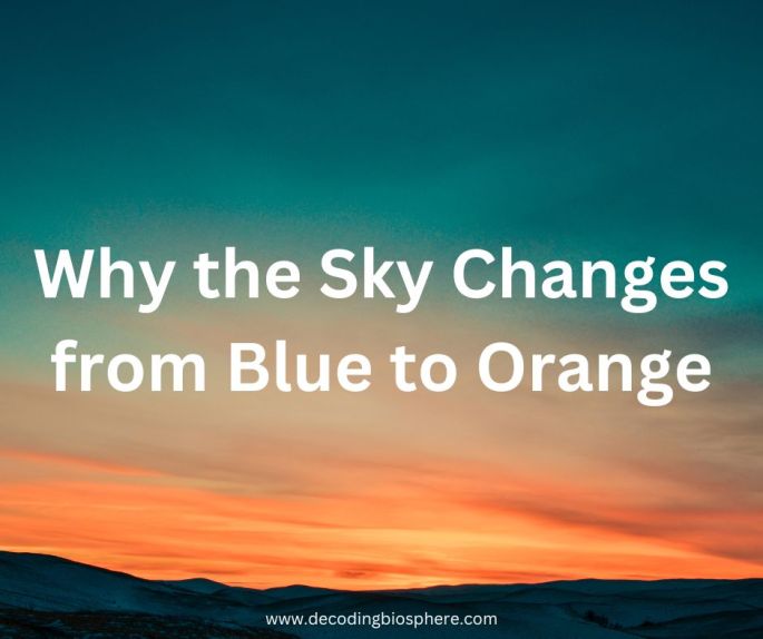 Why the Sky Changes from Blue to Orange
