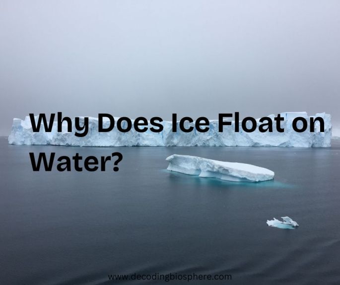 Why Does Ice Float on Water?