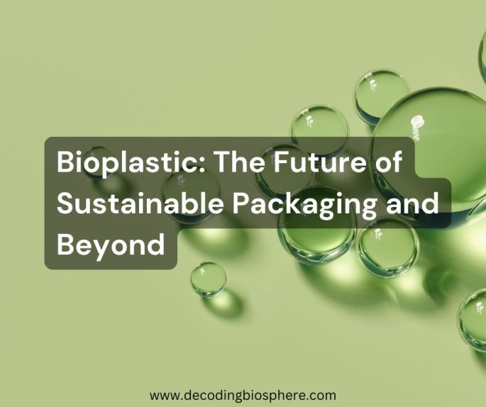 Bioplastic: The Future of Sustainable Packaging and Beyond