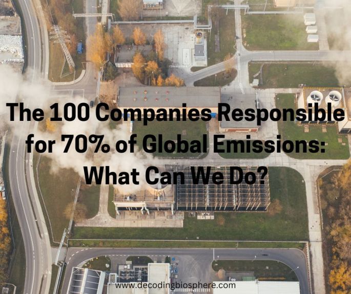 The 100 Companies Responsible for 70% of Global Emissions: What Can We Do?