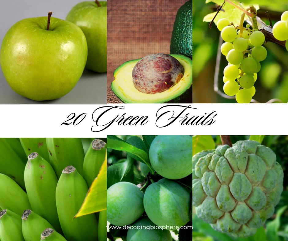 20 Green Fruits: Nature’s Powerhouses of Nutrition