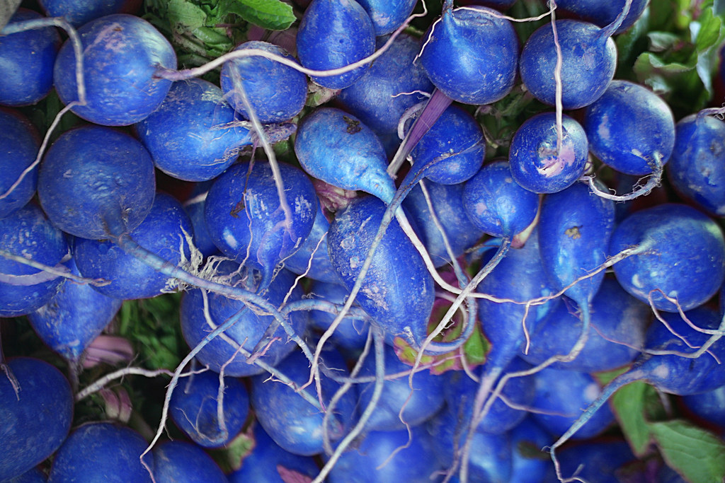 Blue Radish