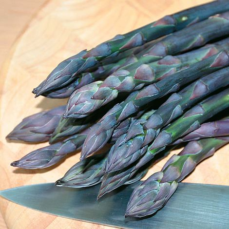 Blue Asparagus