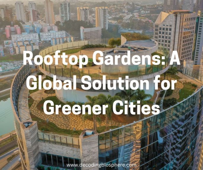 Rooftop Gardens: A Global Solution for Greener Cities