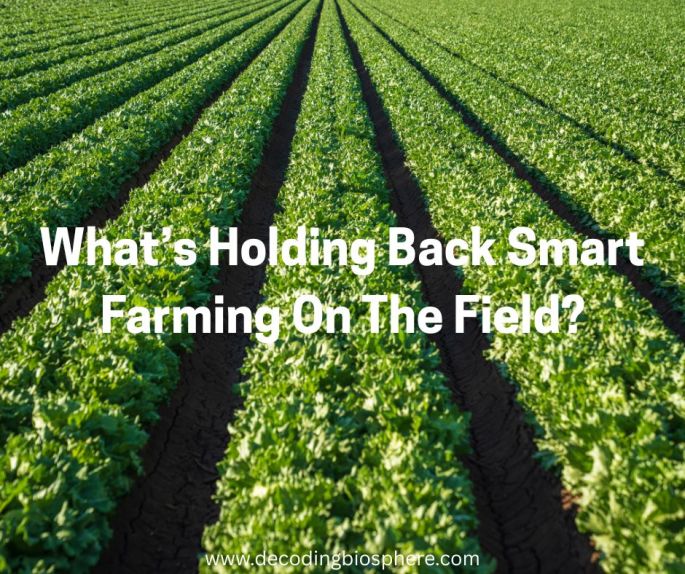 Smart Farming On The Field