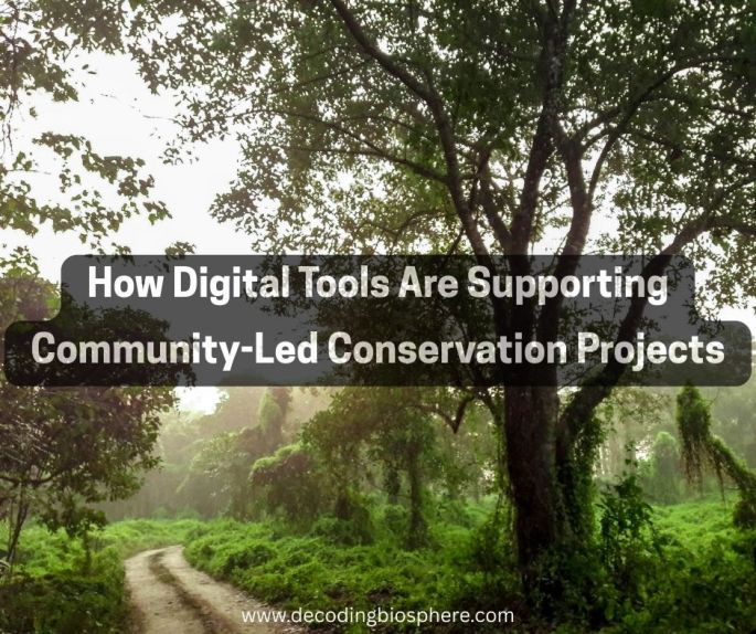 Digital Tools Are Supporting Community
