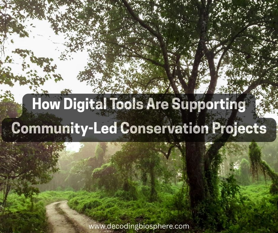 Digital Tools Are Supporting Community