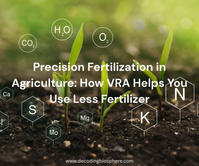 Precision Fertilization in Agriculture