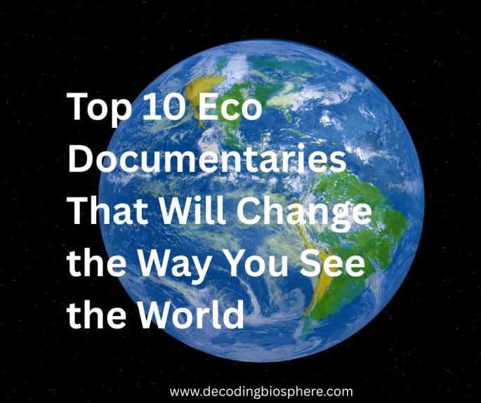 Top 10 Eco Documentaries That Will Change the Way You See the World