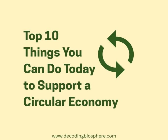Top 10 Things You Can Do Today to Support a Circular Economy