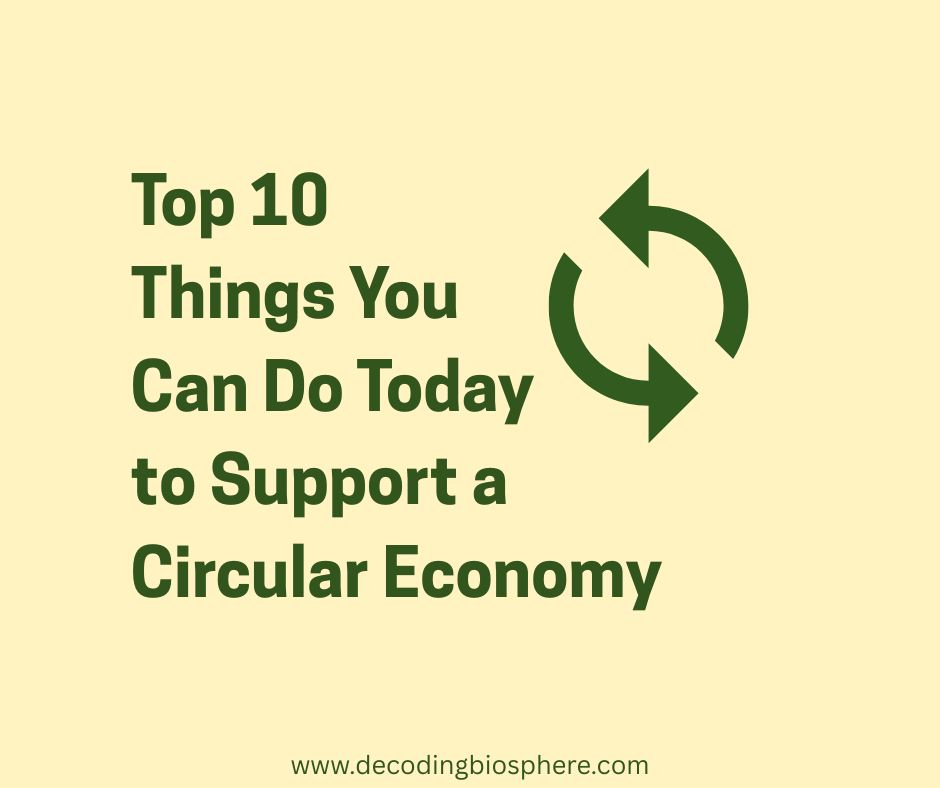 Top 10 Things You Can Do Today to Support a Circular Economy