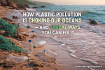 How Plastic Pollution Is Choking Our Oceans